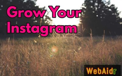 Grow Your Instagram From 3 Followers to Hundreds